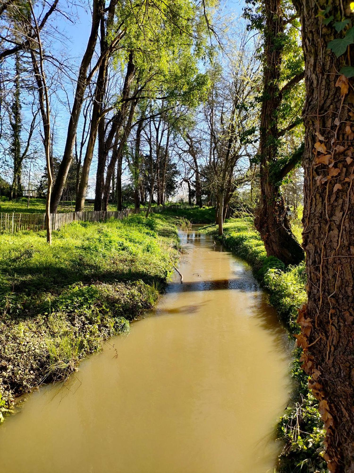La Chamade En Beaujolais Bed and Breakfast Anse Buitenkant foto